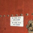 중기 효자숲 | 경북 청도여행 가 볼만한 곳 국내 최대 비구니 수행도량 호거산 운문사의 부처님 오신날 풍경