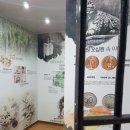 태백산맥거리1 이미지