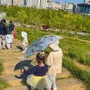 서울근교 그늘막 텐트 가능한 공원 | 배곧 생명공원 피크닉 후기