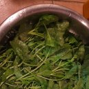 천년광장 이미지