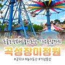 아이랑 가기 좋은 곡성 섬진강기차마을 부대시설 총정리