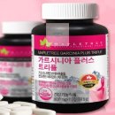 트리플트리 이미지