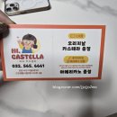 하이카스텔라 이미지