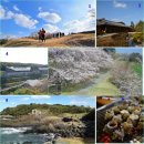 광우산악회 2020년 4월 봄 특별 산행 - Kyushu Olle Trekking - 이미지