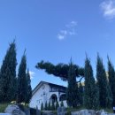 신정길 77 이미지