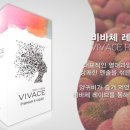 라미야전자담배 강북점