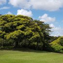 레인보우힐스CC(회원제) 이미지