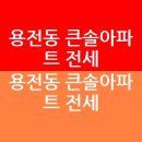 큰솔공인중개사사무소 이미지