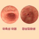 365늘속편한내과의원 이미지
