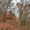 수덕사 선미술관 이미지