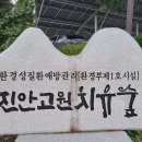 진안고원치유의숲 이미지