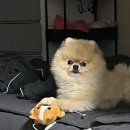 서프라이즈는 감동 ㅠㅠ