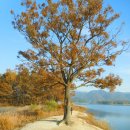 대청호오백리길 호반낭만길 이미지