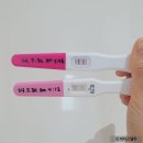 단호박 다이소 원포 얼리 임테기 &amp; 해피홈 임테기 (ft. 테라 산부인과 아기집 확인)