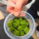 세븐일레븐 앞 | 도쿄여행 편의점 추천 꿀템 세븐일레븐 스무디 후기