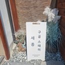 구공스테이 세종 이미지