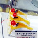 뜨레쥬르 이미지