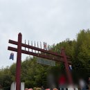 죽녹원게임랜드 | 2026 담양 대나무 축제 후기(+관방제림, 죽녹원, 김순옥 댓잎 도너츠, 주차 후기)