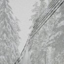 동향치과 의원 이미지