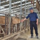 상미농장 이미지