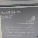 미조상록수림 Daum카페