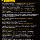 골드펌킨 이미지