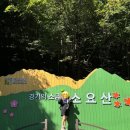 소요산제일식당 | 체력거지의 가을 소요산 등산 후기