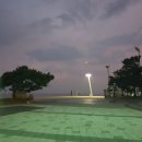 경포배오징어 이미지