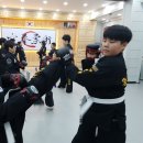 합기도 일산도장 이미지