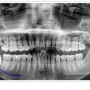 닥터조치과의원 이미지
