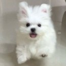 오천로 이미지