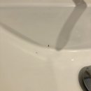 덕구온천콘도 이미지