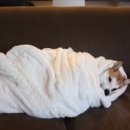 분식카페 이미지