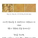 아나덴 슈가링왁싱 김해내외점