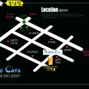 버블캣츠 이미지