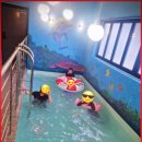 풀 스테이 햅번 이미지