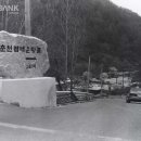 오월1리 세계일보