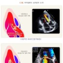 서울아산샘내과 이미지
