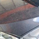 반월차유리셀프세차 | 자동차 셀프세차용품 추천, 20분 만에 끝내는 셀프 세차 및 유리막코팅 후기