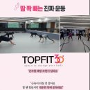 탑핏(TOPFIT) 이미지