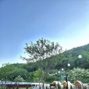 김천시 봉산면사무소 화장실 | 김천 봉산바베큐 솔직후기 김천 캠프닉 김천 글램핑 김천 야외바베큐