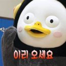 태닝아일랜드 이미지