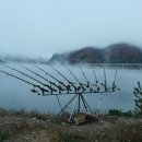 DNK 이미지