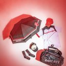 뉴에라모터스포츠 이미지