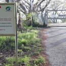 교촌마을 이미지