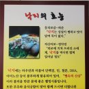 남포읍성부추해물칼국수 네이버블로그