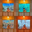 경주 보문단지 호텔 추천, 라한셀렉트 경주 부대시설(경주산책, 경주상점, 경주나인, 마켓338)