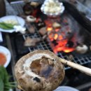 엘리스산장