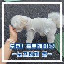멍 핏 스튜디오 이미지
