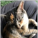 어강동물병원 이미지